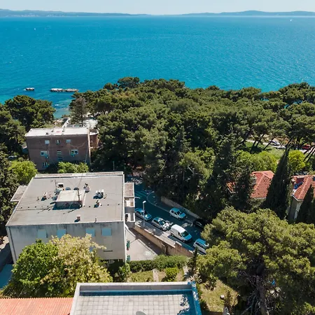 فيلة Sun Paradise *